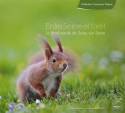 Between the Seine river and Forest, the biodiversity of Soisy-sur-Seine