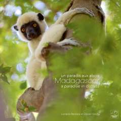 Madagascar, un paradis aux abois