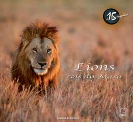 « Lions rois du Mara » 