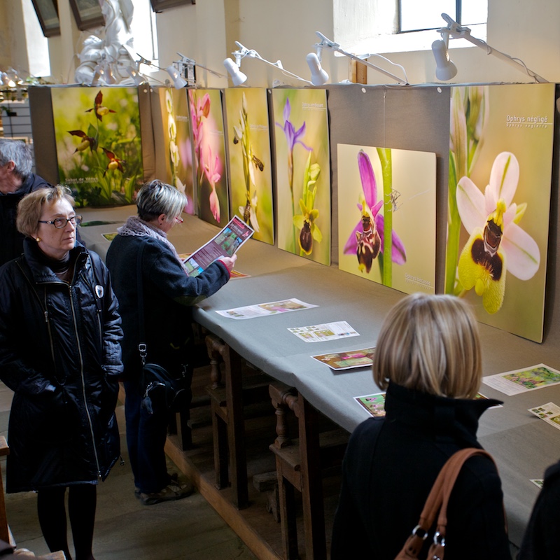 Annulation du festival de Tignécourt